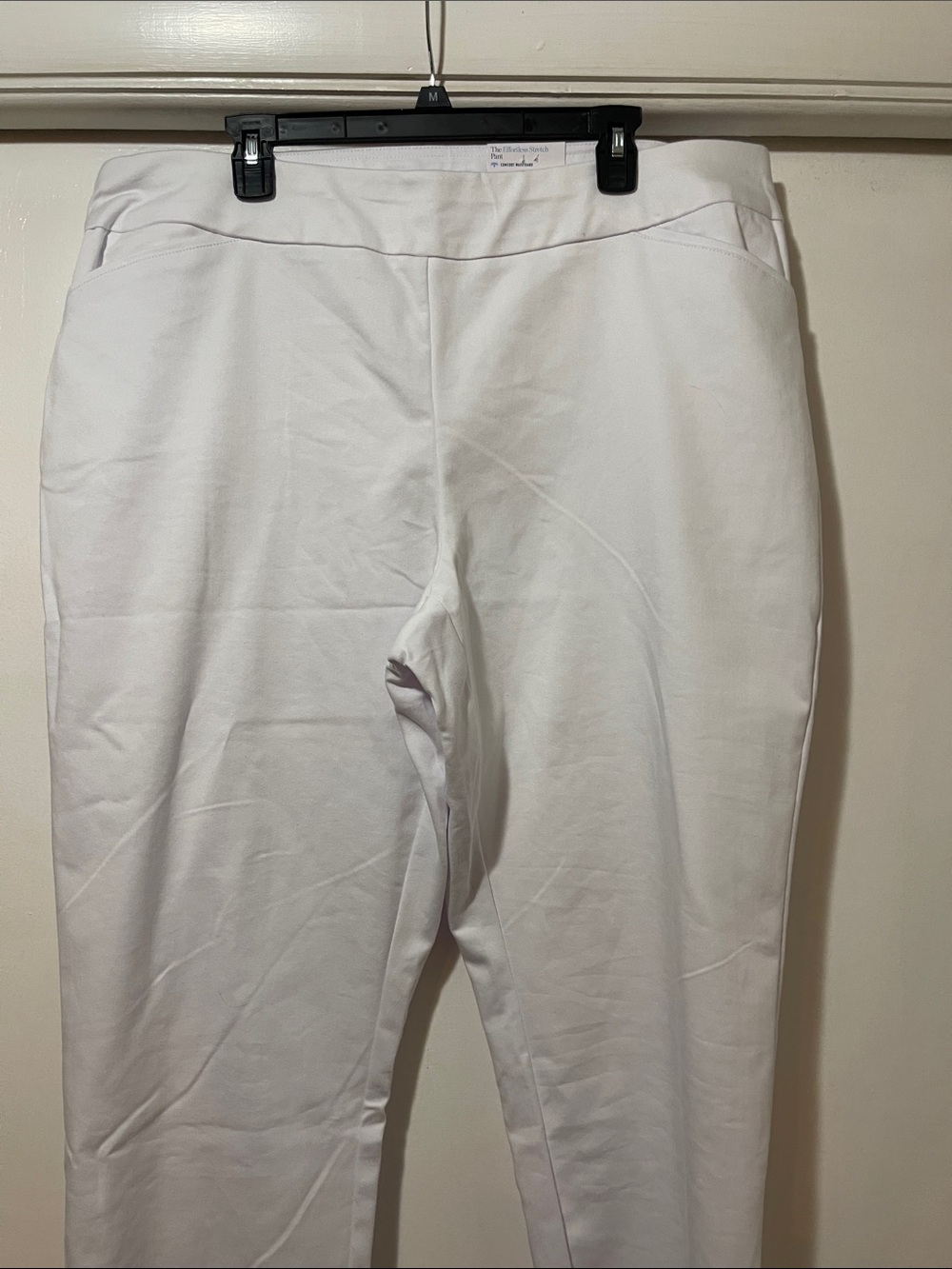 White Stretch Pull-On Pants
Croft & barrow brand size 20 W regular NWT - Picture 2 of 8